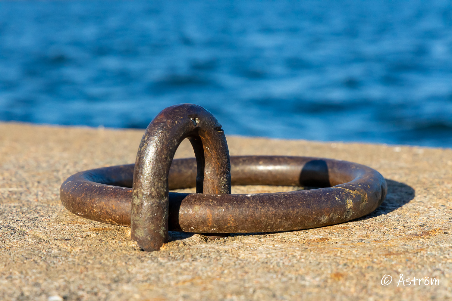 Länk till bilder från en tur med jobbet till Aspa herrgård 1 september 2025.