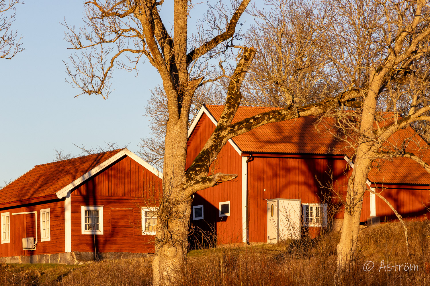 Länk till bilder från promenad i Frövi 21 december 2025.