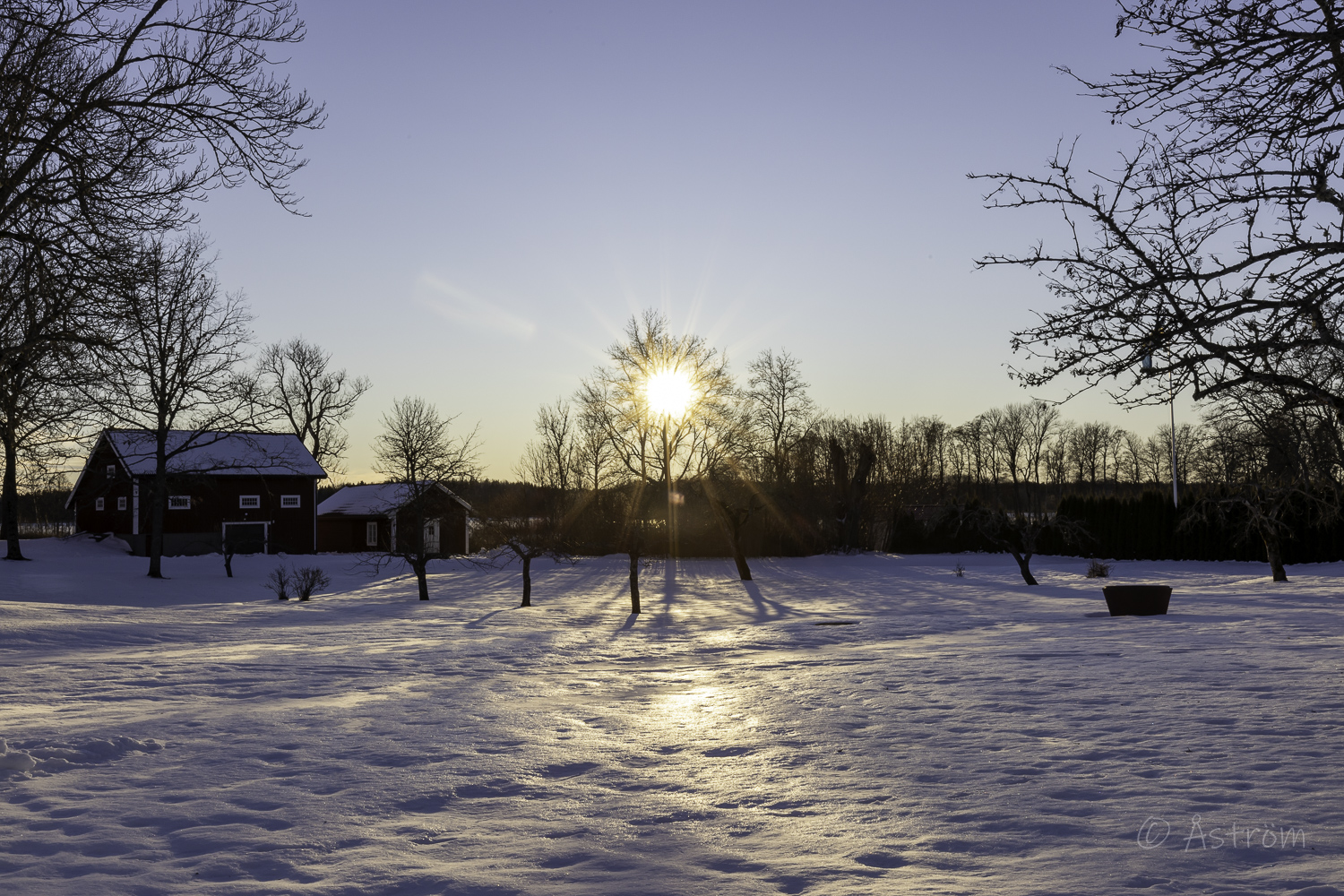 Länk till bilder från promenad i Frövi två dagar i januari 2025.
